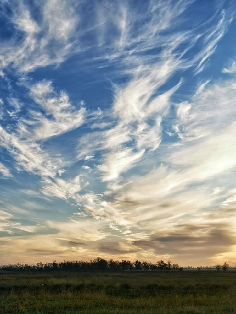 Photograph by Елена Артёменко