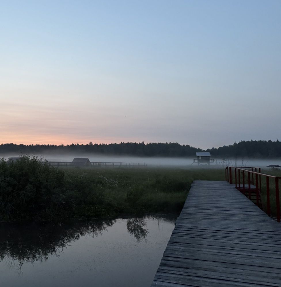 Photograph by Александра Зайниева