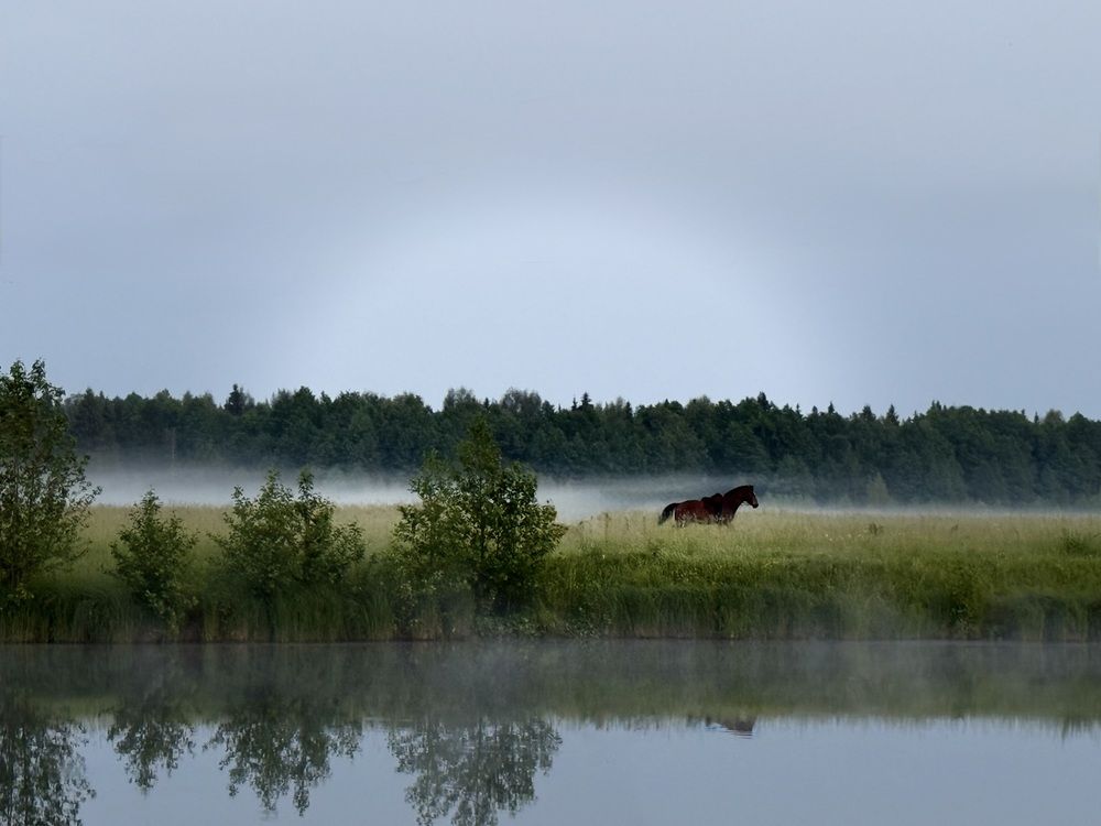 Photograph by Александра Зайниева