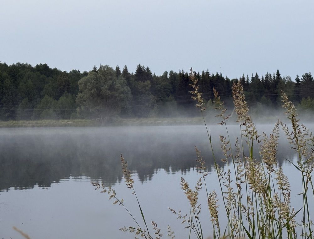 Photograph by Александра Зайниева