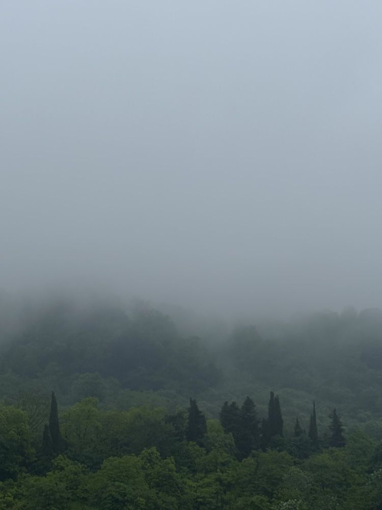 Photograph by Александра Зайниева