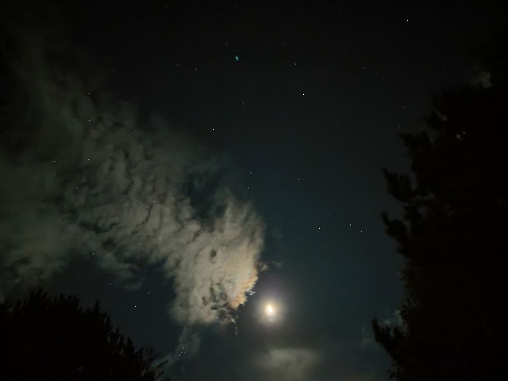 Фотография автора Александр Осинцев