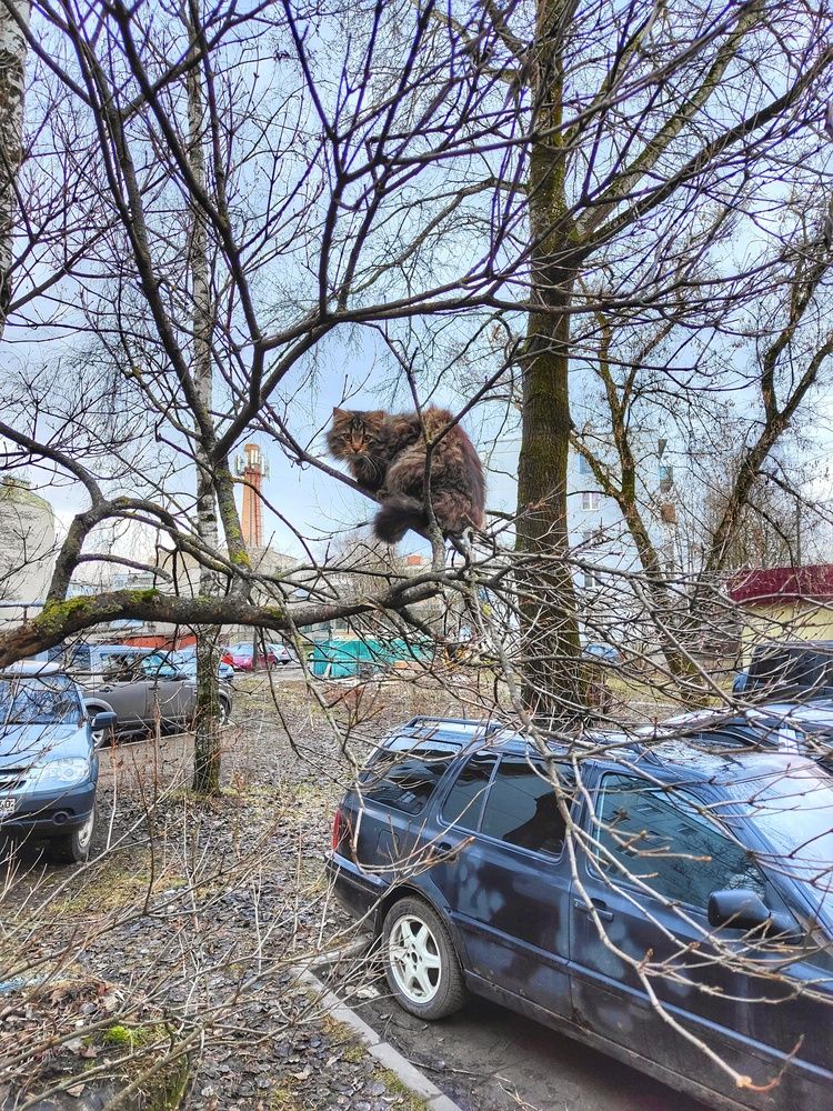 Photograph by Roman Dmitriev