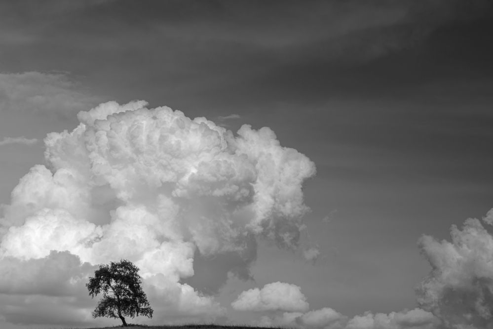 Photograph by Андрей Шарапов