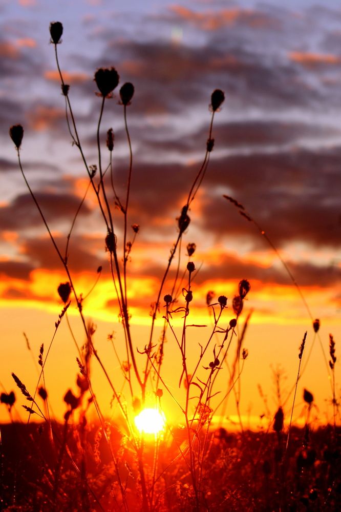 Photograph by 