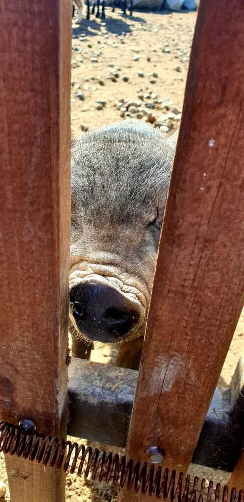 Фотография автора Asya