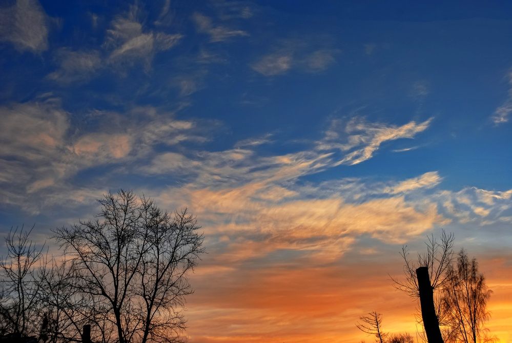 Photograph by Любовь Бусова