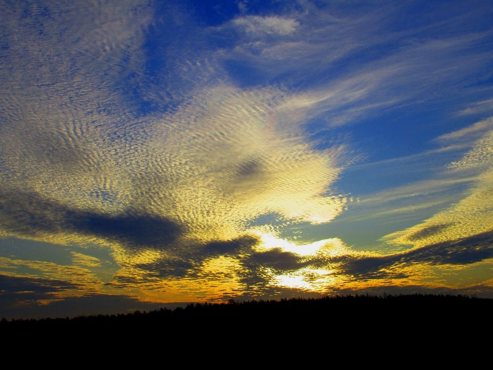 Photograph by Любовь Бусова