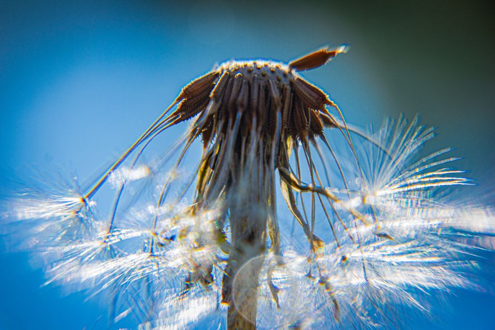 Photograph by Владимир Сушкин