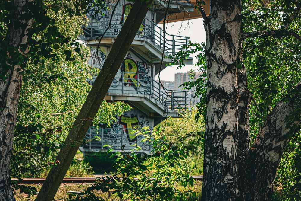 Photograph by Владимир Сушкин