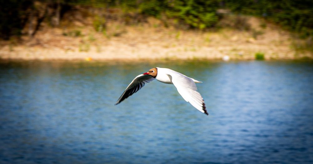 Photograph by Владимир Сушкин
