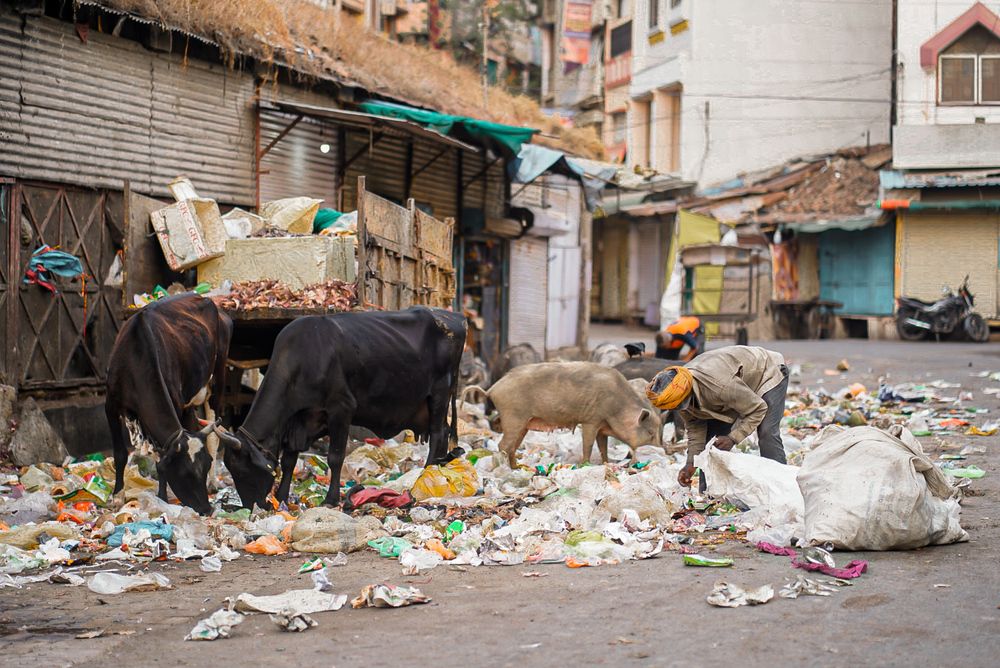 Фотография автора Mohammad Asif