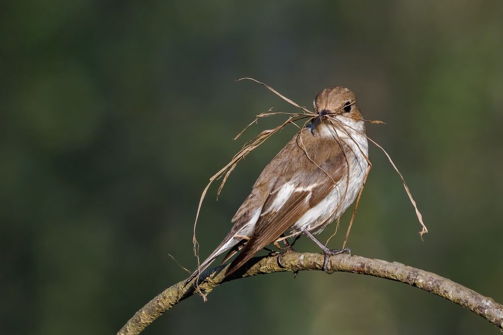 Photograph by Олег Колмаков