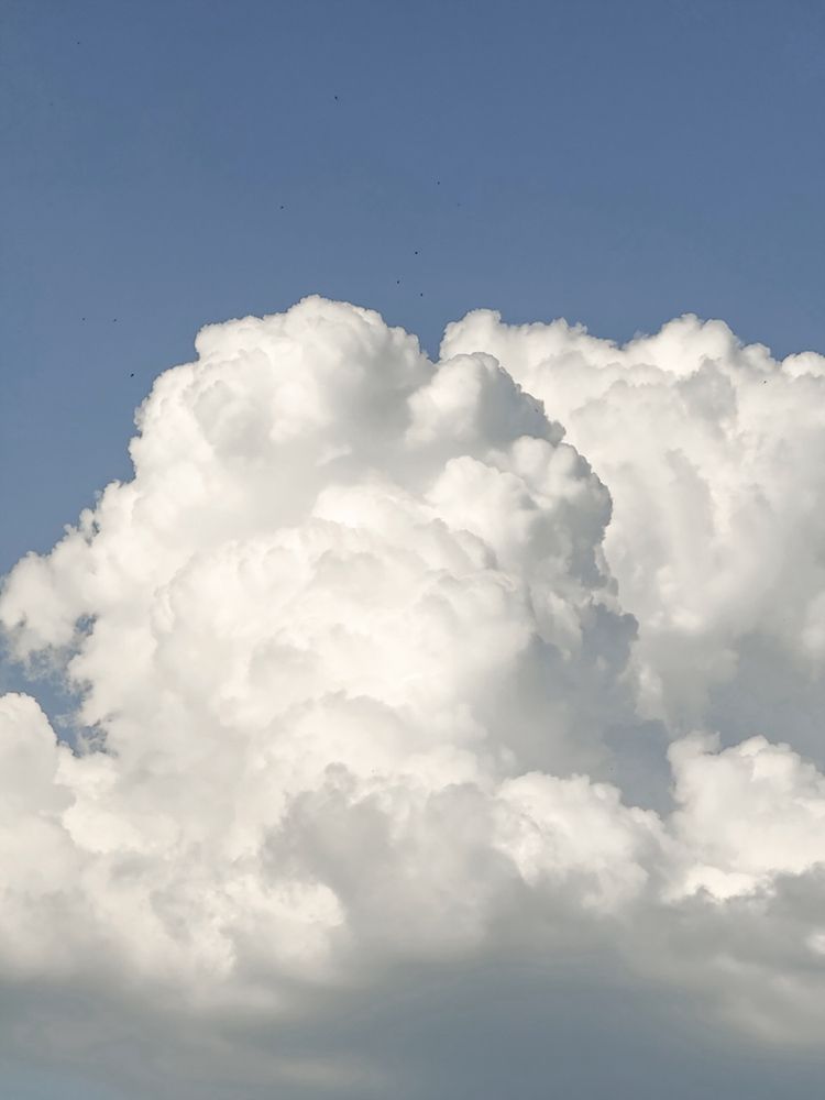 Photograph by Elena Savchuk