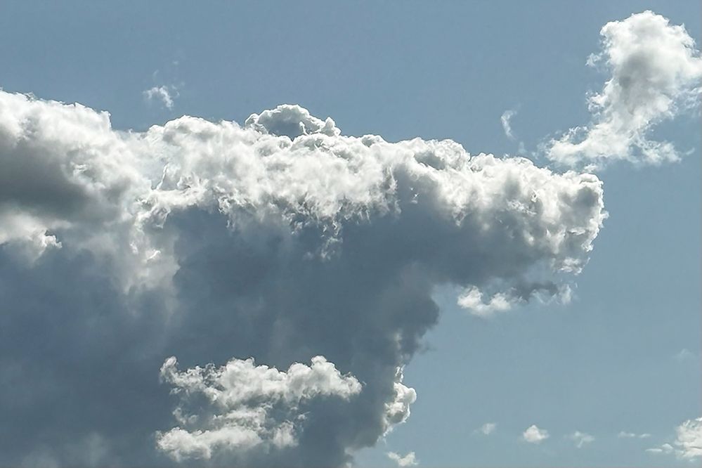 Photograph by Elena Savchuk