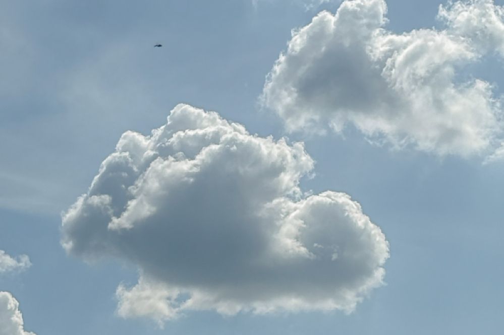 Photograph by Elena Savchuk