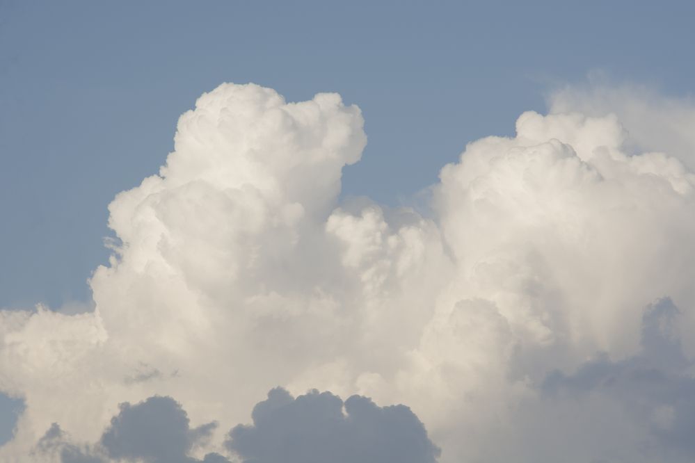 Photograph by Elena Savchuk