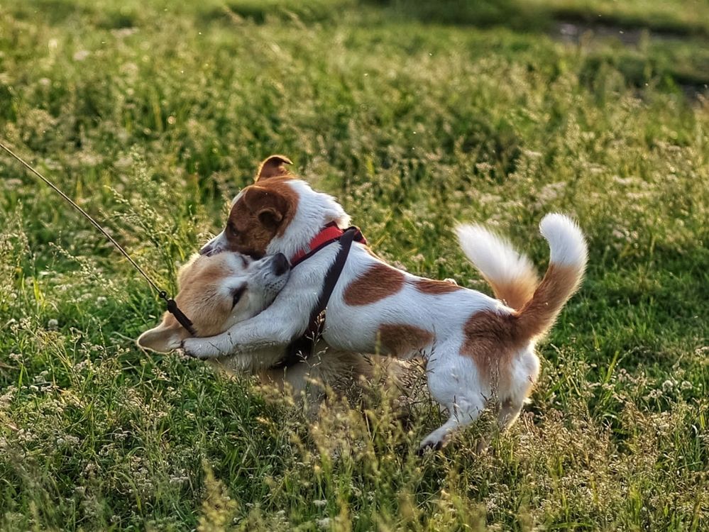 Photograph by Анастасия Глазюк