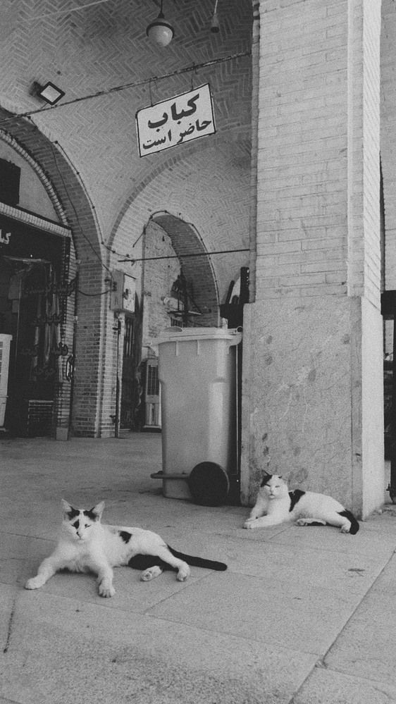 Photograph by Mostafa Vadiatizadeh