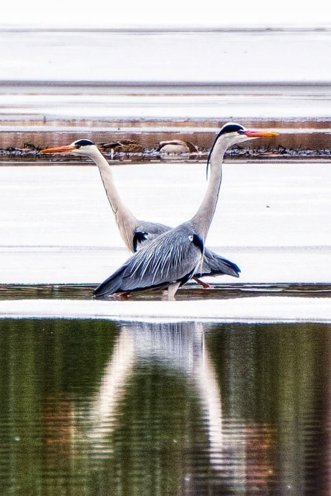 Photograph by Анастасия Глазюк