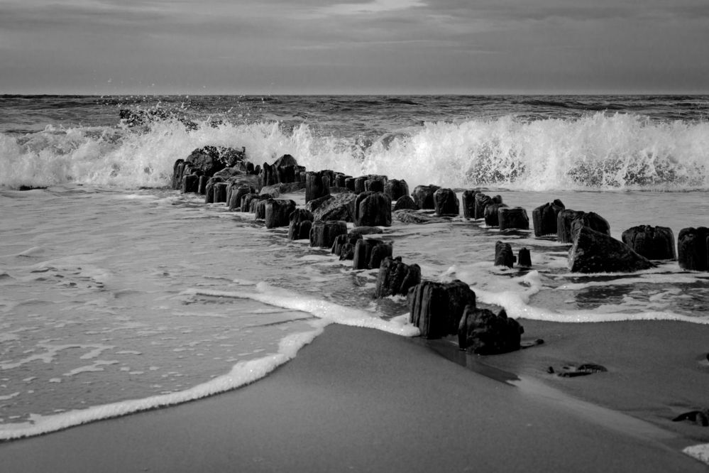 Photograph by Василий Ковалев