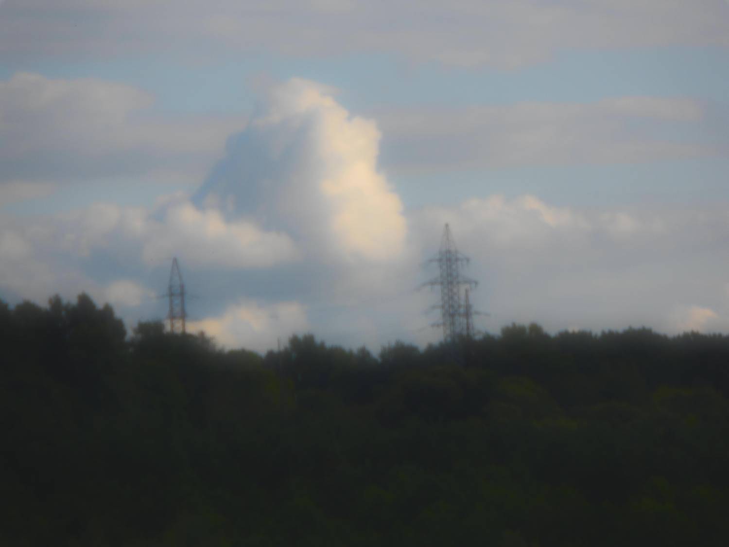 Photo #12519824