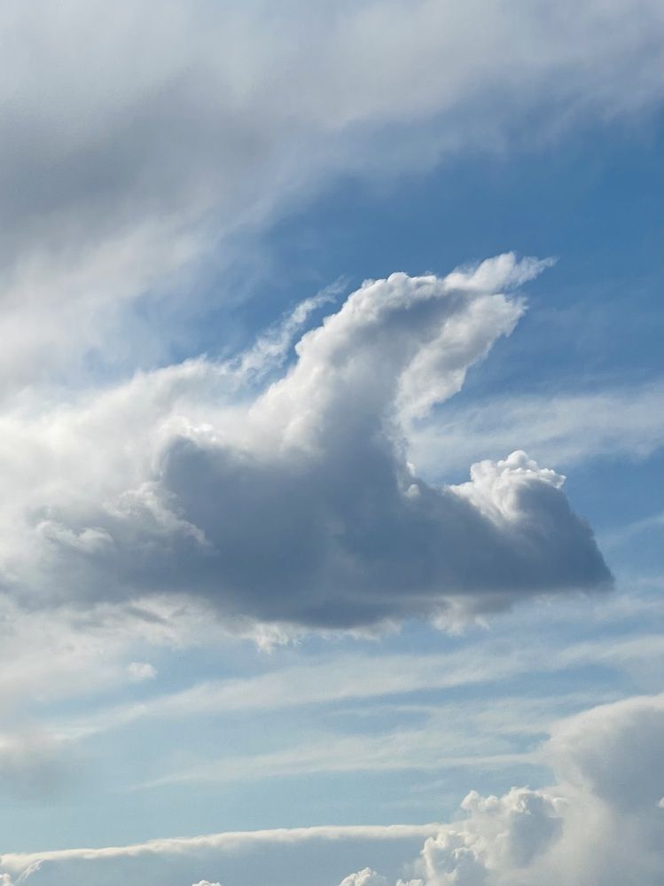 Photograph by Татьяна Баранова