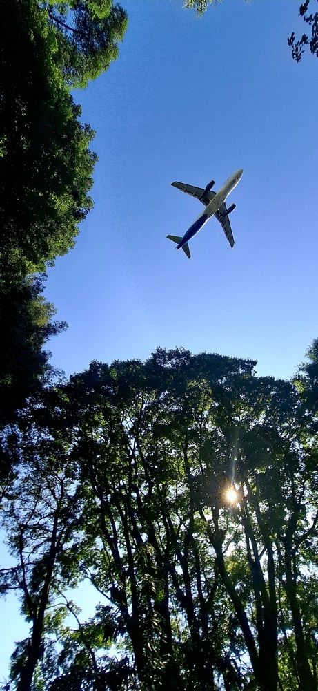 Фотография автора Asya