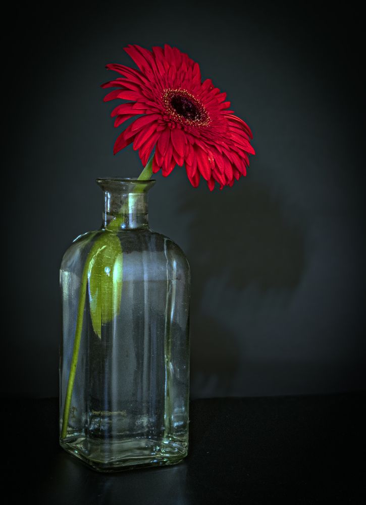 Photograph by Alex Kalpus