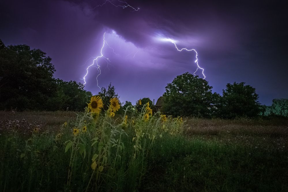 Photograph by Филипп Бабенко