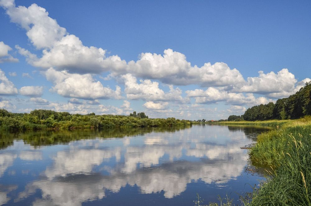 Фотография автора Геннадий Коробов