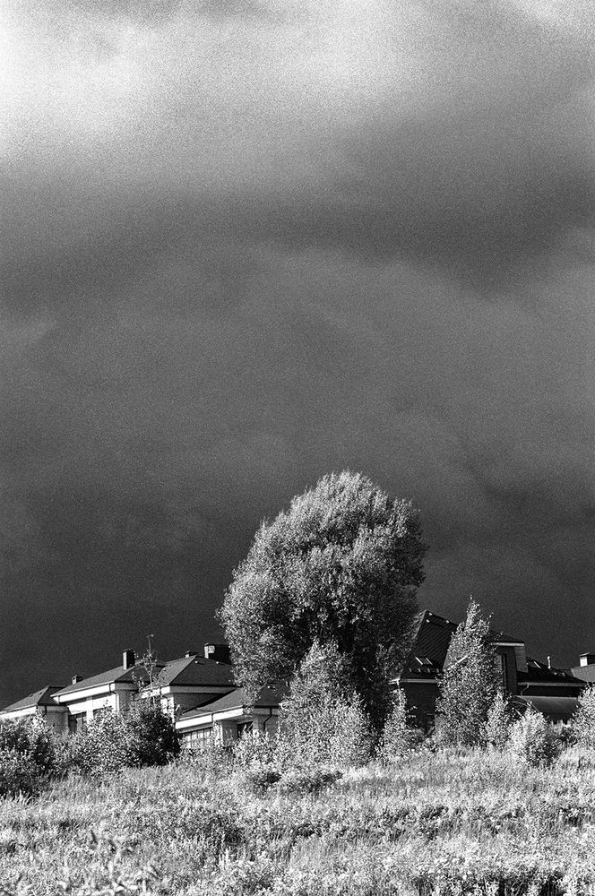 Фотография автора Alexey Drozdov