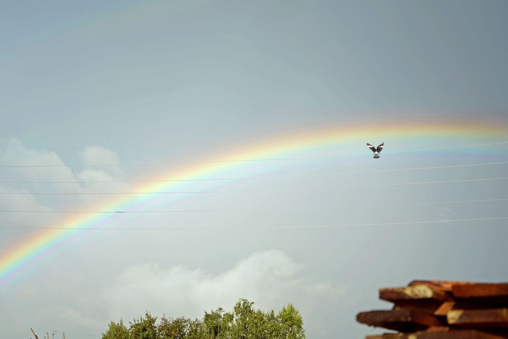 Photograph by Любовь Лунина