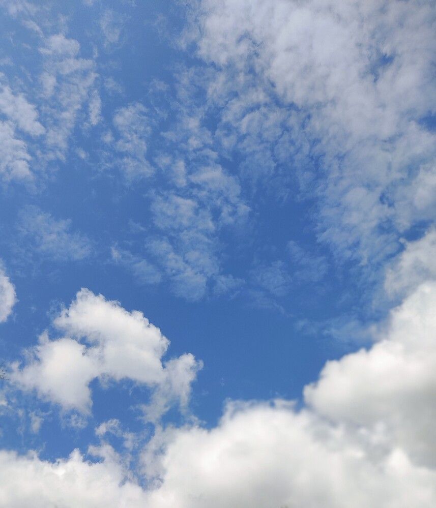 Photograph by Наталья Билай