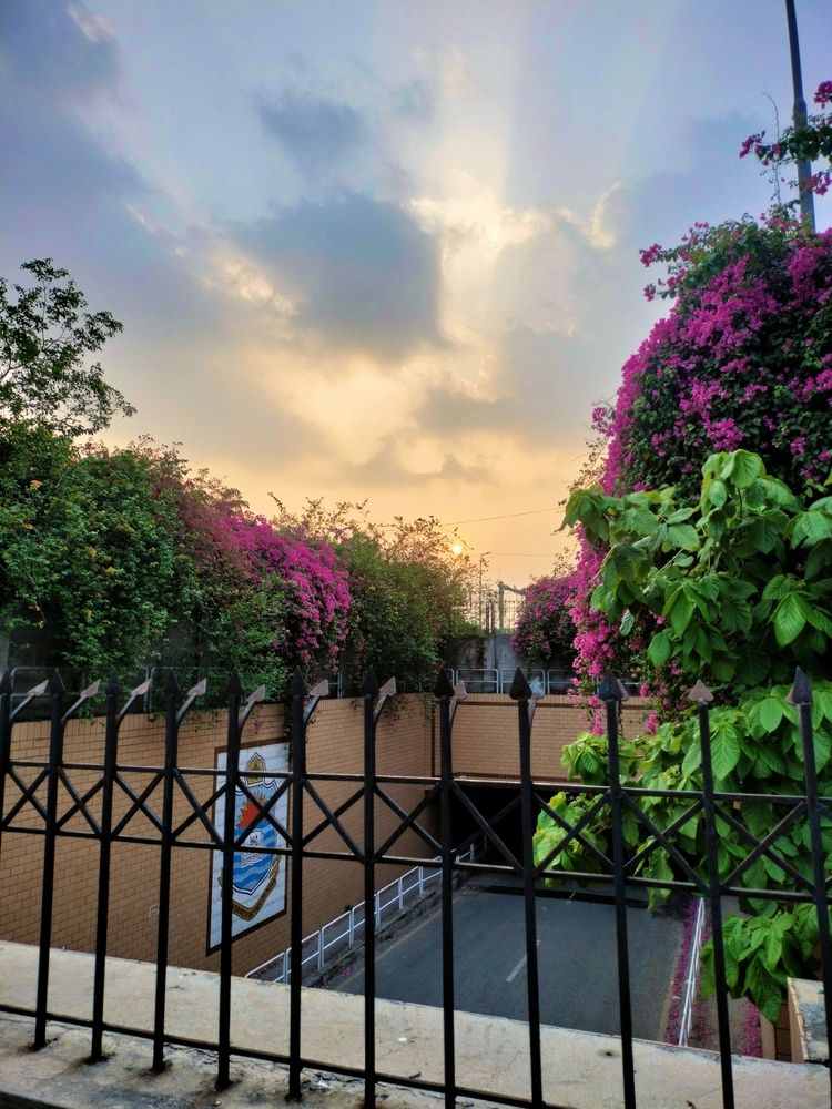 Photograph by Farwa Sagheer