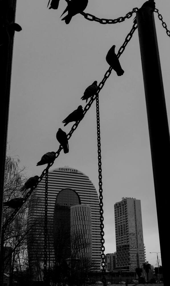 Photograph by Iako Kunchulia