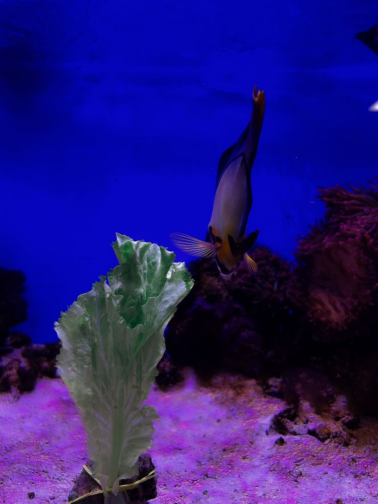 Photograph by Константин Шипицын