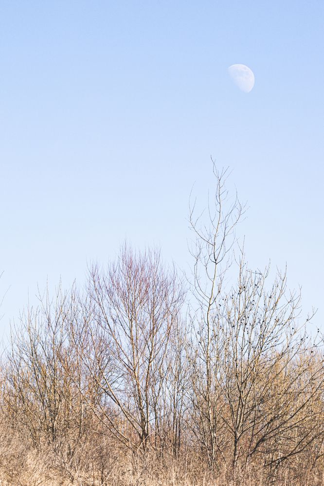 Фотография автора Ирина Гриценко