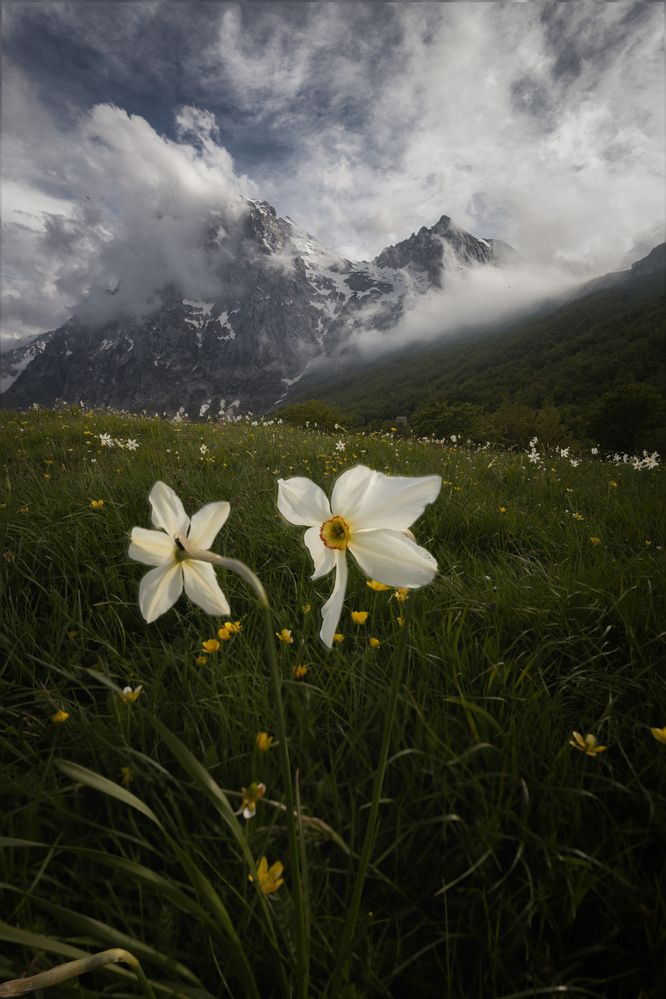 Photograph by Roxana Florentina Comanesu