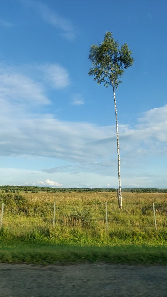 Photo #12520080