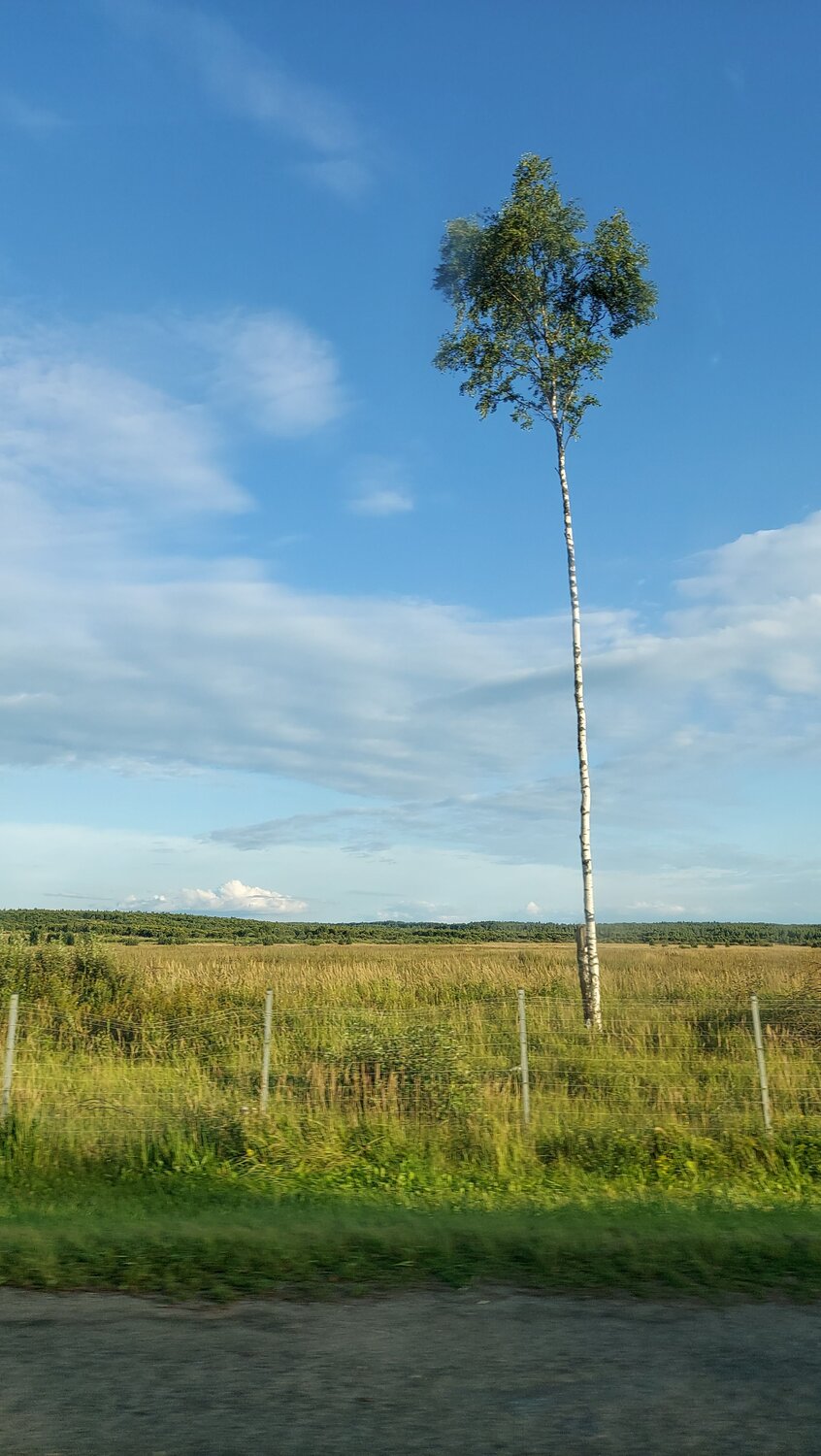 Photo #12520080