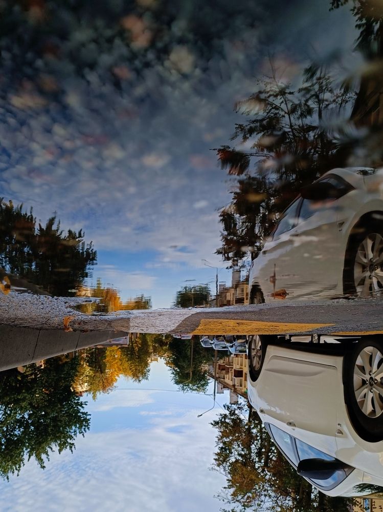 Фотография автора Ирина Романовская