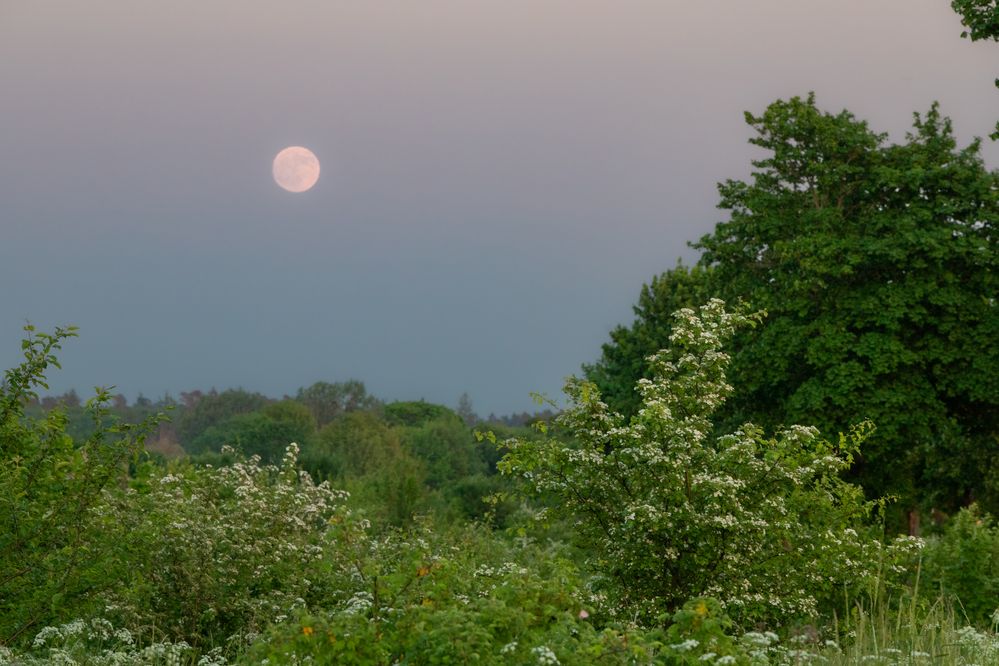 Photograph by Константин Чижов