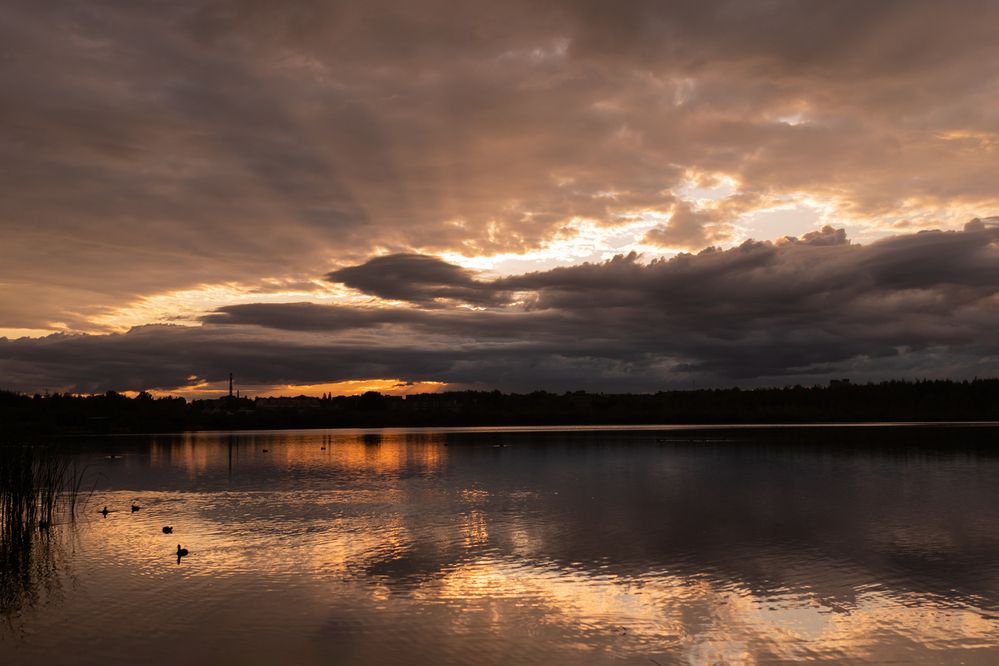 Photograph by Дарья Гомза