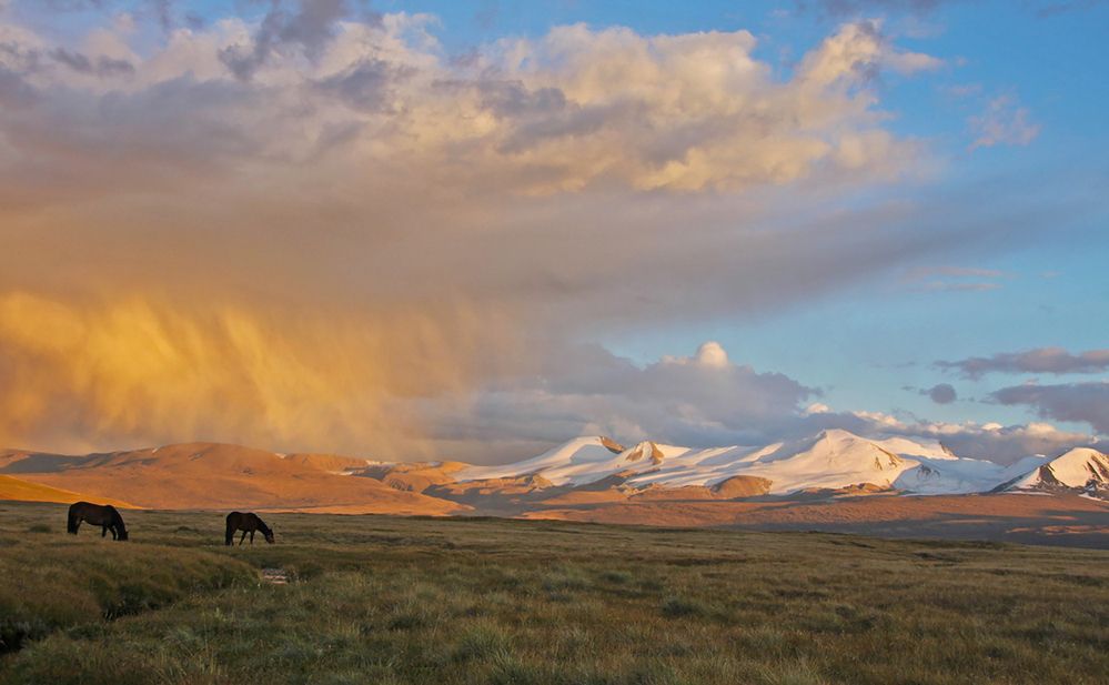 Photograph by Gurdina Lena