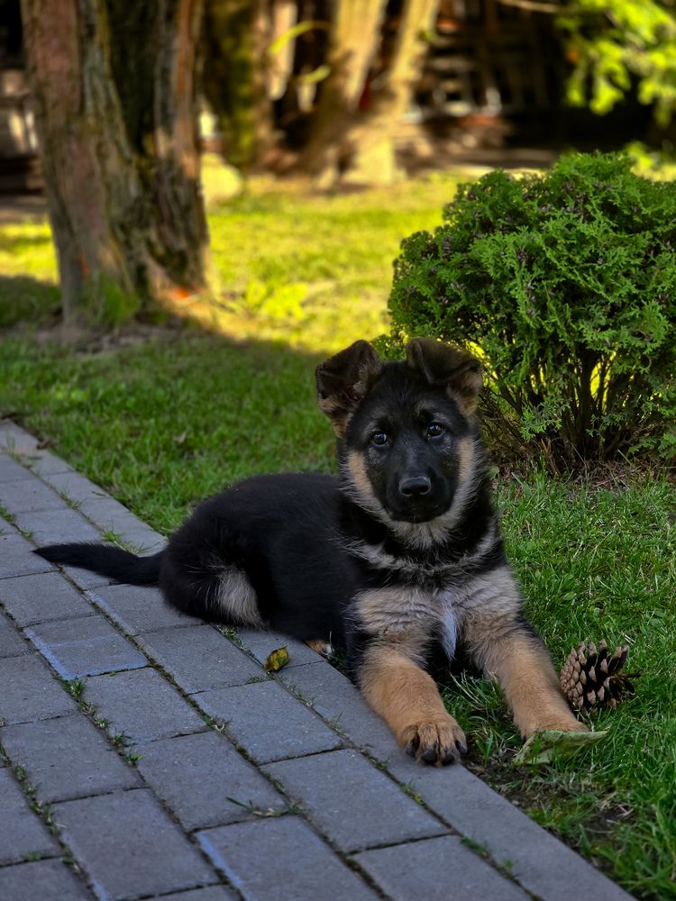 Photograph by Татьяна Гуцанович