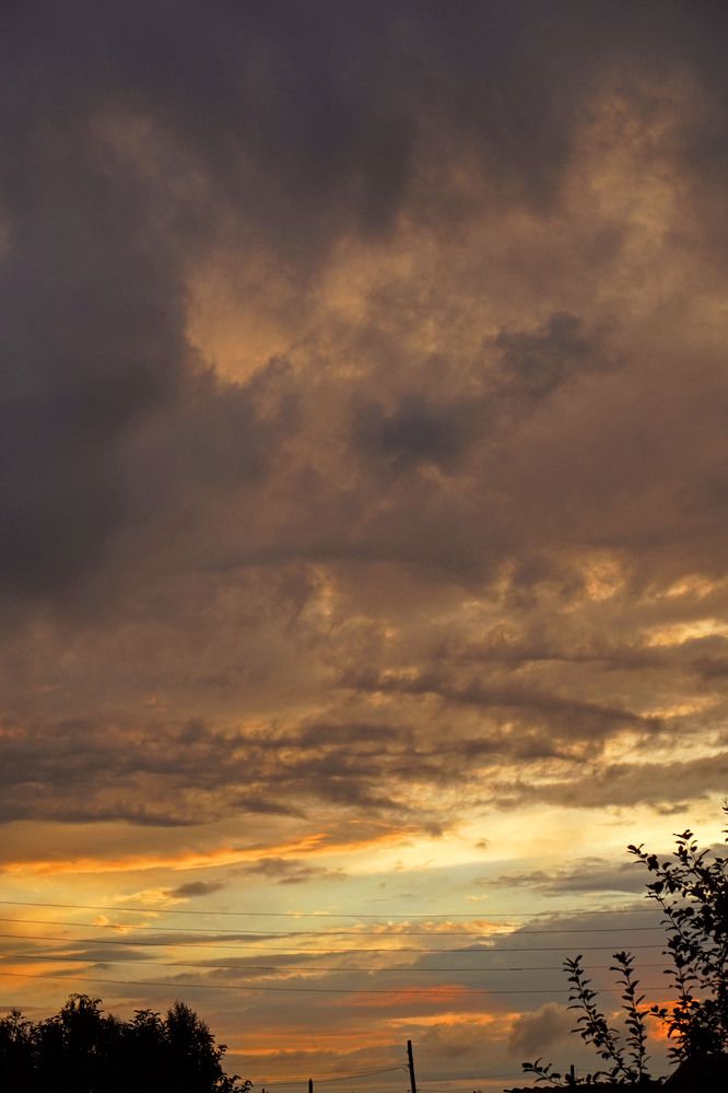 Photograph by Любовь Лунина