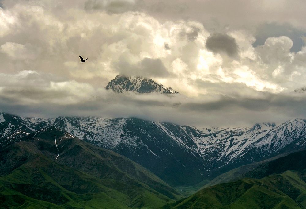 Photograph by Алтынбек Қартабай