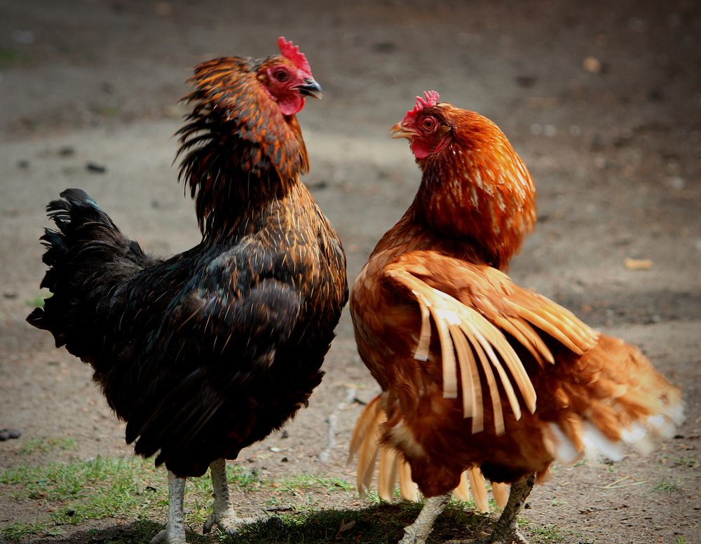 Photograph by Зоя Быкова