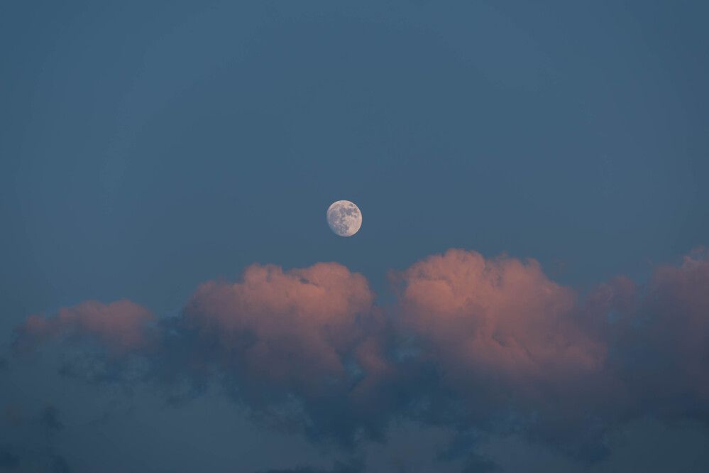 Photograph by Milan Đorđević